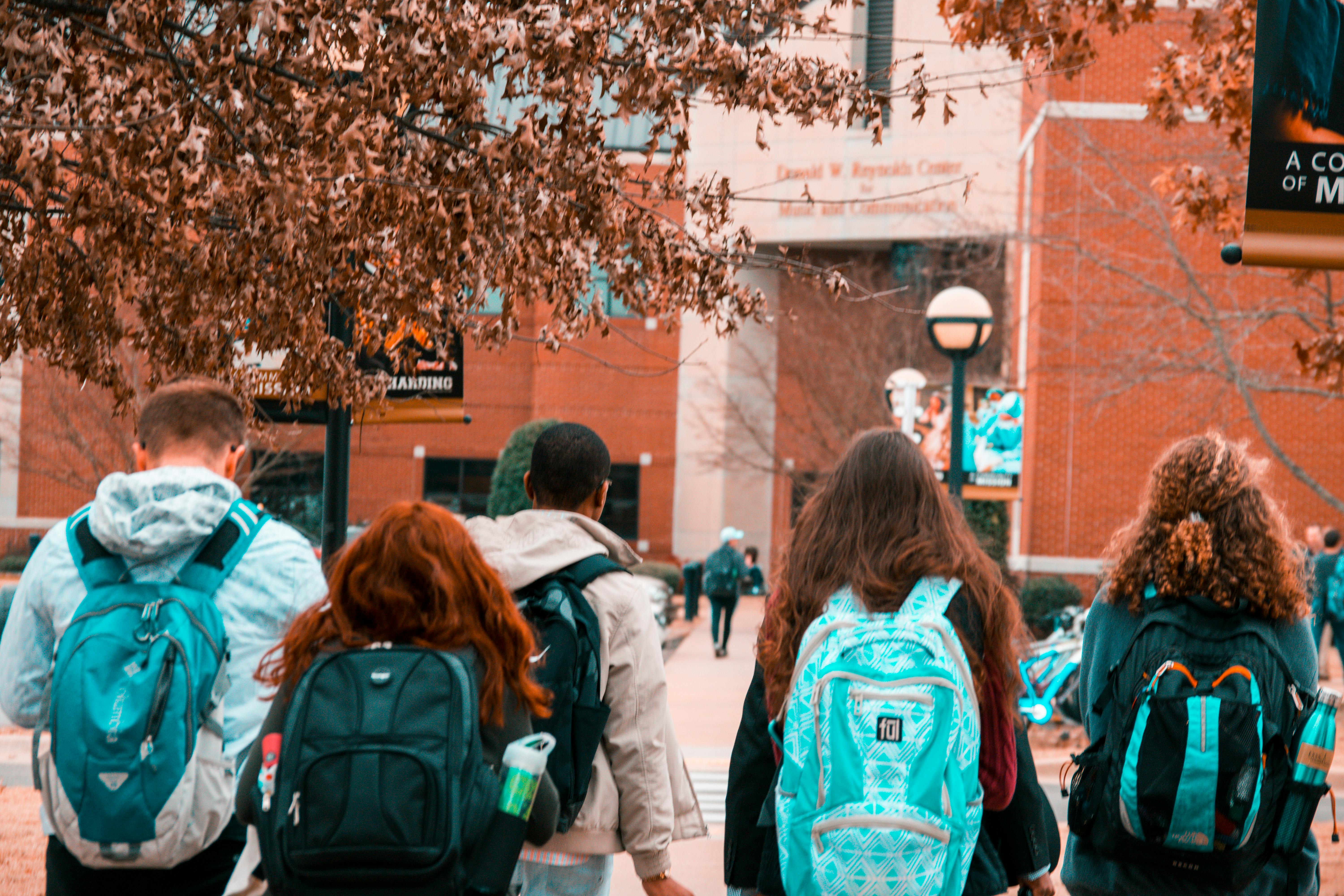 Students and young graduates